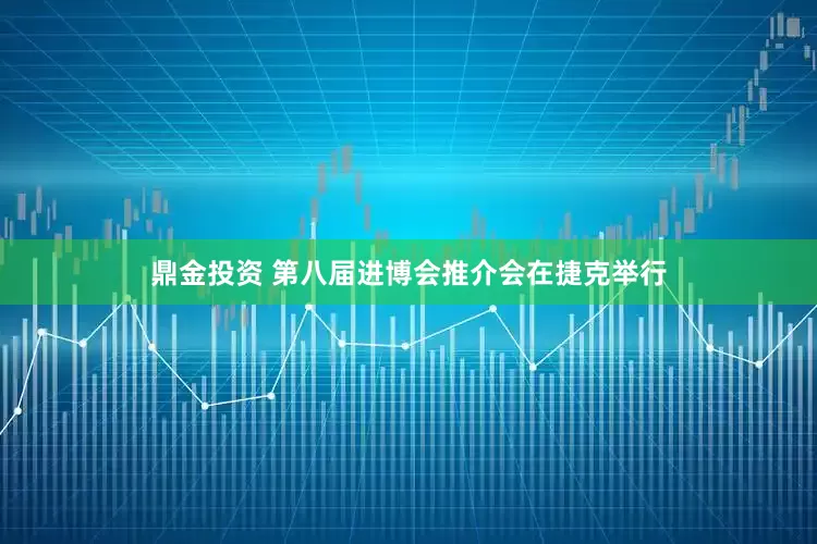 鼎金投资 第八届进博会推介会在捷克举行