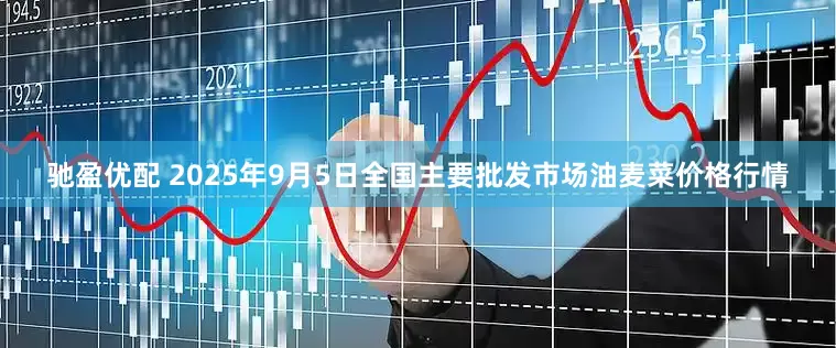 驰盈优配 2025年9月5日全国主要批发市场油麦菜价格行情