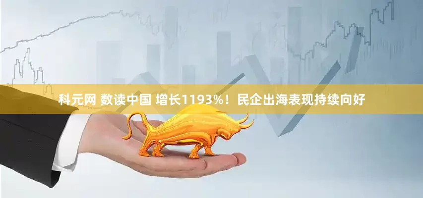 科元网 数读中国 增长1193%！民企出海表现持续向好